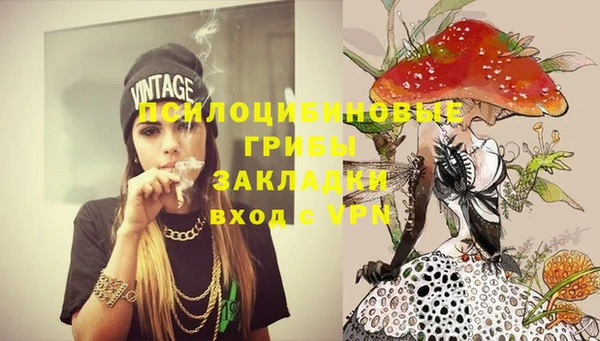 твердый Алексеевка