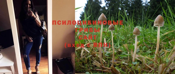 Альфа ПВП Абаза