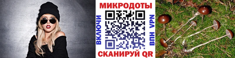 цены наркотик  Мегион  Галлюциногенные грибы Cubensis 